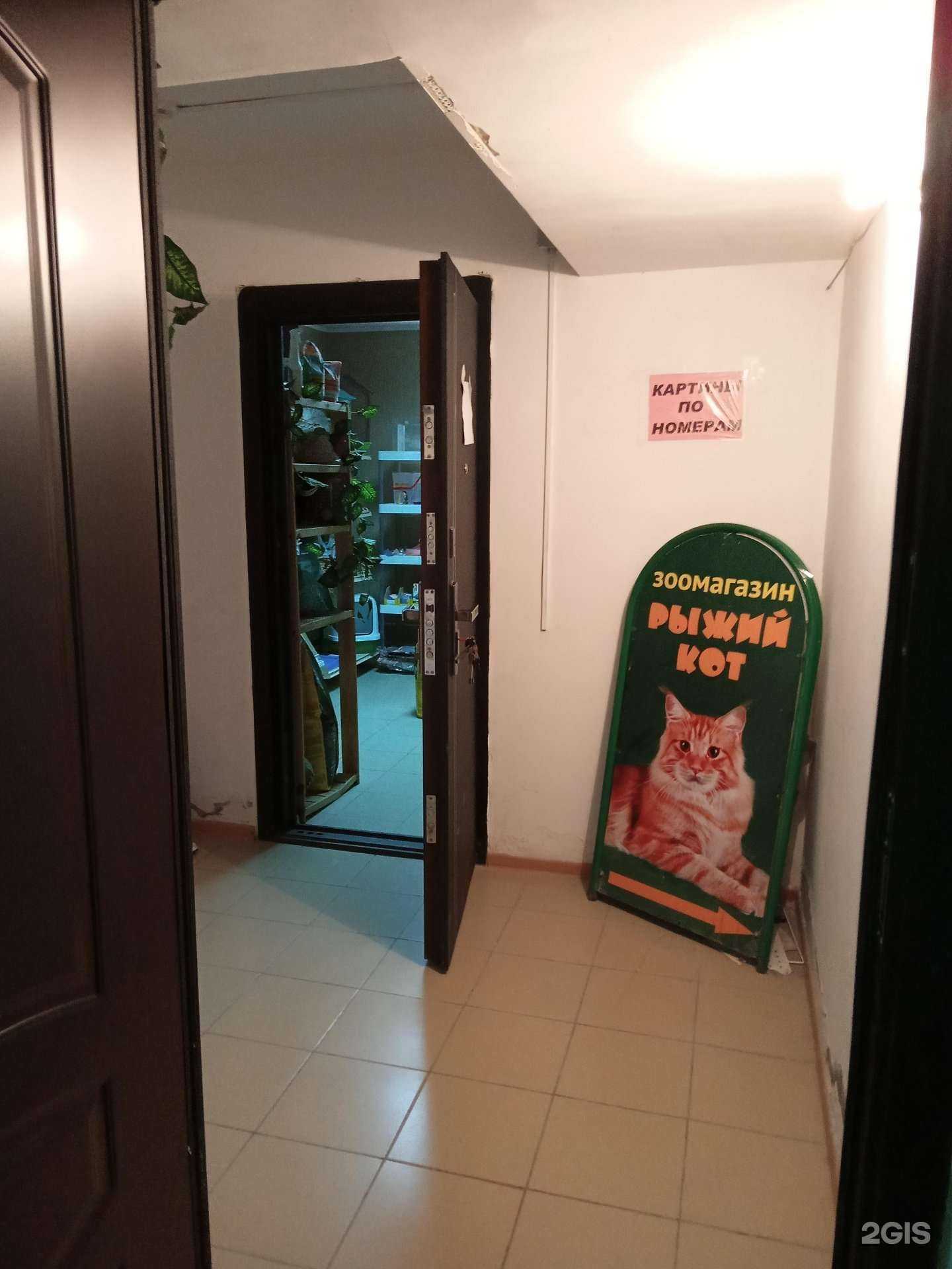 Отзывы на компанию Рыжий кот в г. Новороссийск c фото