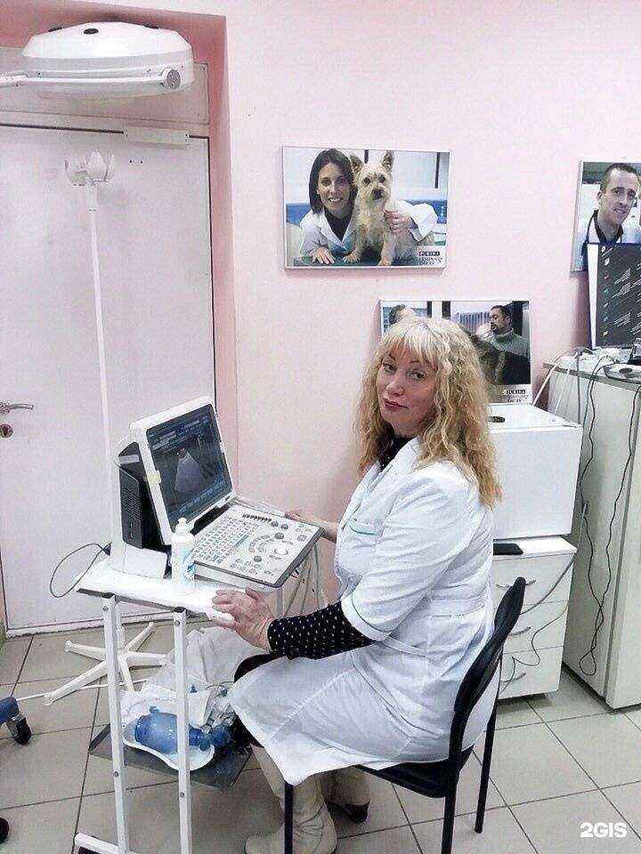 Отзывы на компанию Ювента в г. Ярославль c фото