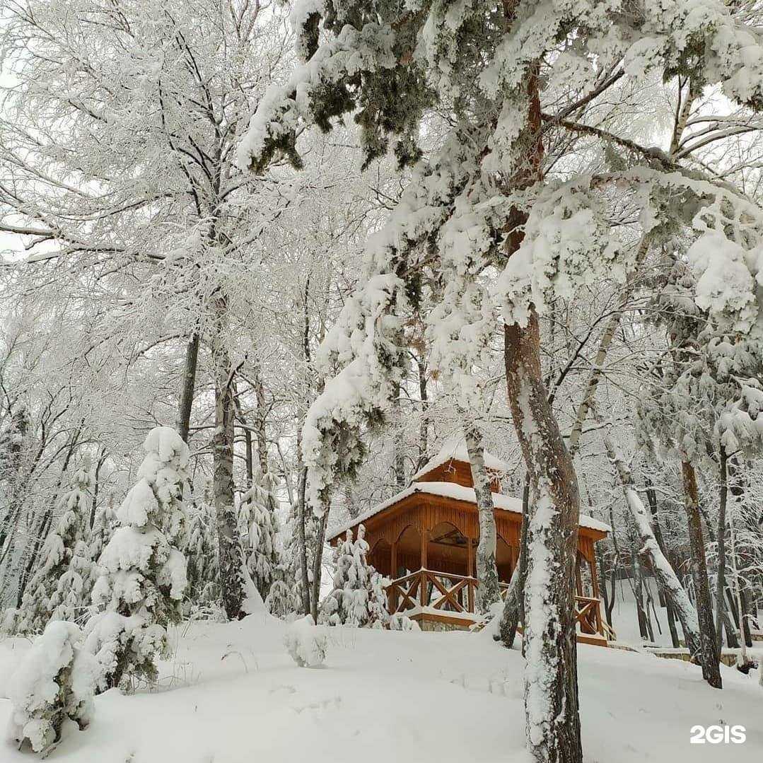 Отзывы на компанию Dreamtour в г. Энгельс c фото