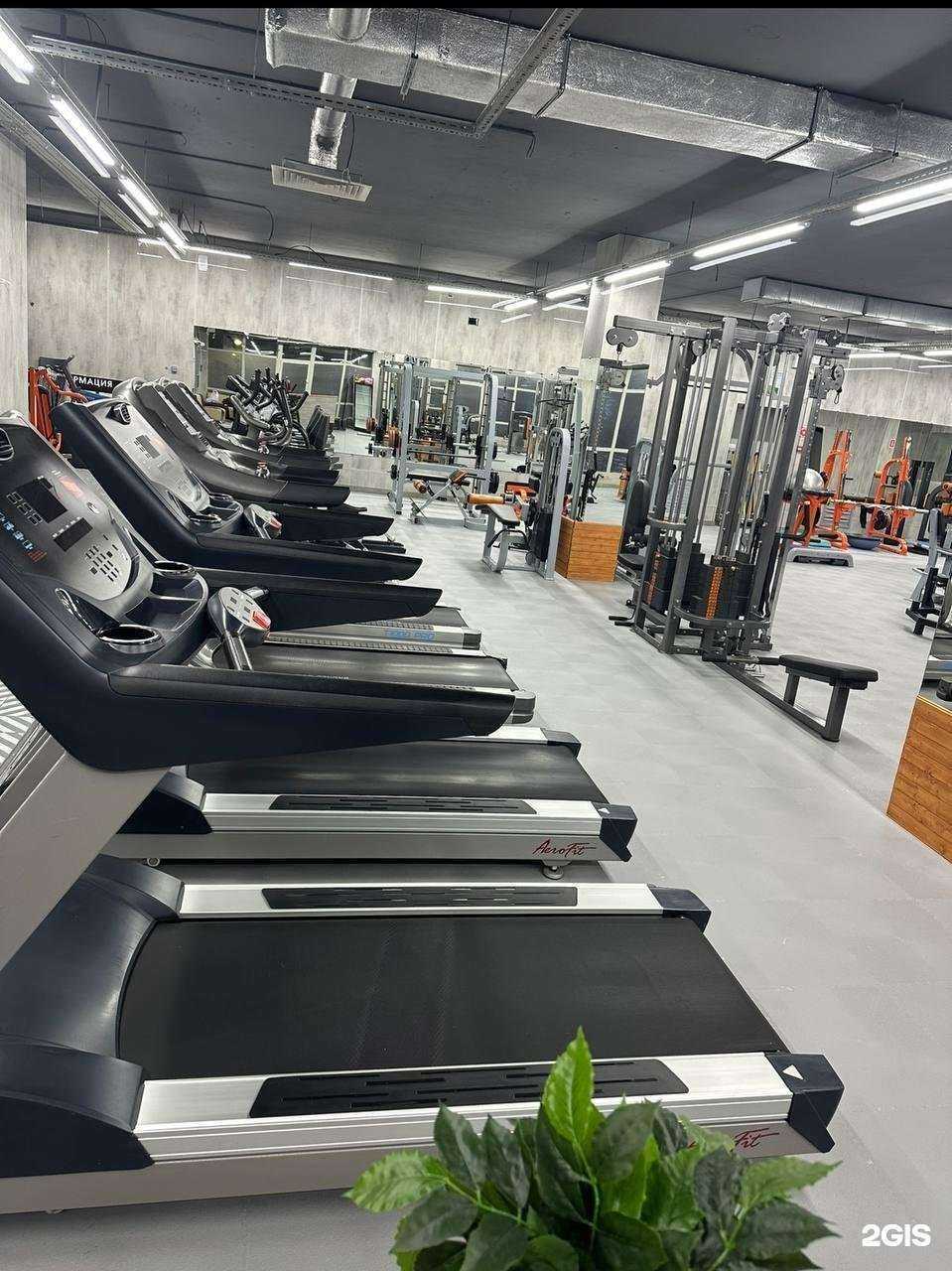 Отзывы на компанию Ladyfit в Пятигорске c фото