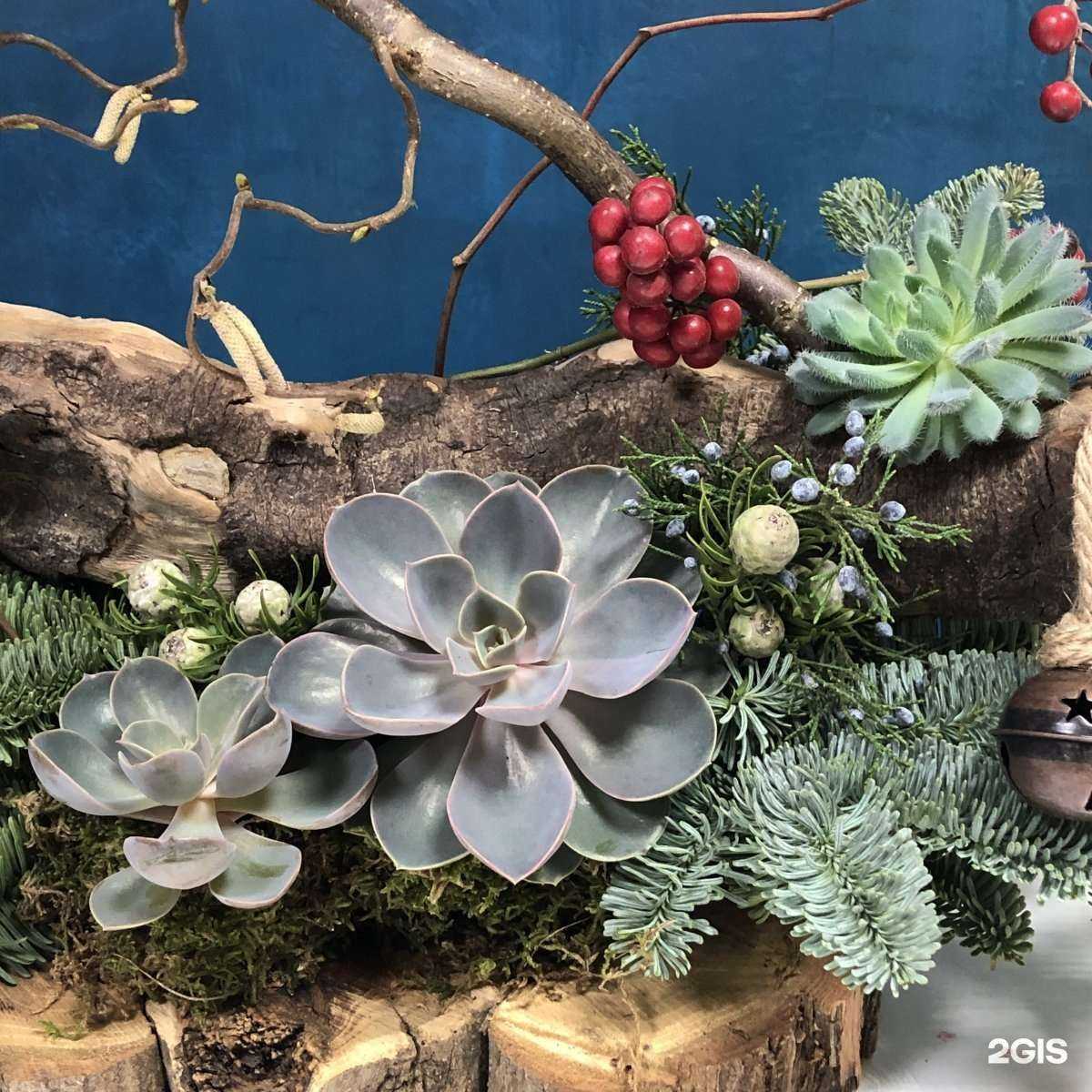 Отзывы на компанию Мастерская современной флористики в Краснодаре c фото