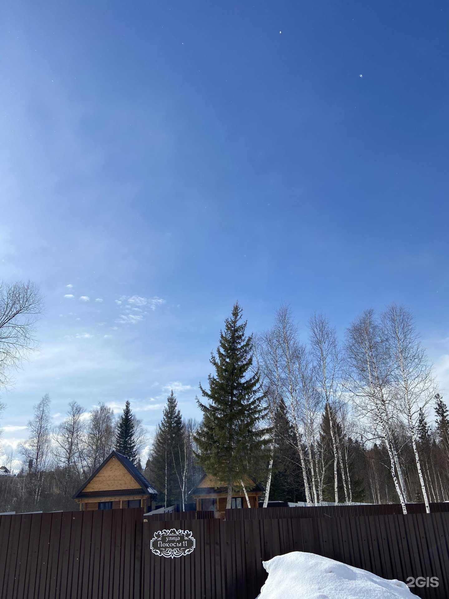 Отзывы на компанию Елки-Иголки в Томске c фото