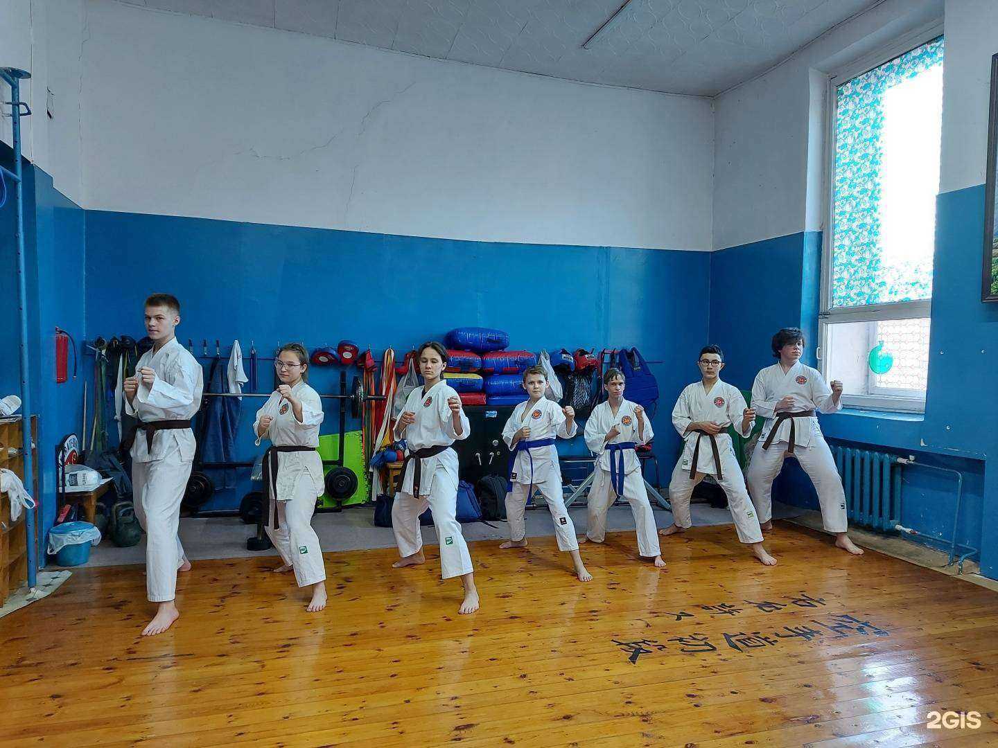Отзывы на компанию Сётокан каратэ до в г. Иркутск c фото