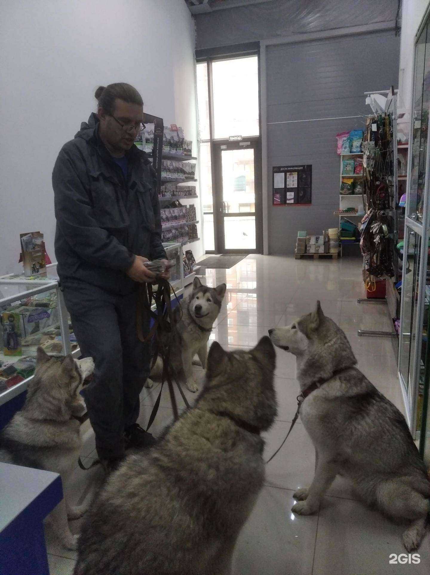 Отзывы на компанию Агрозооветсервис в г. Иркутск c фото