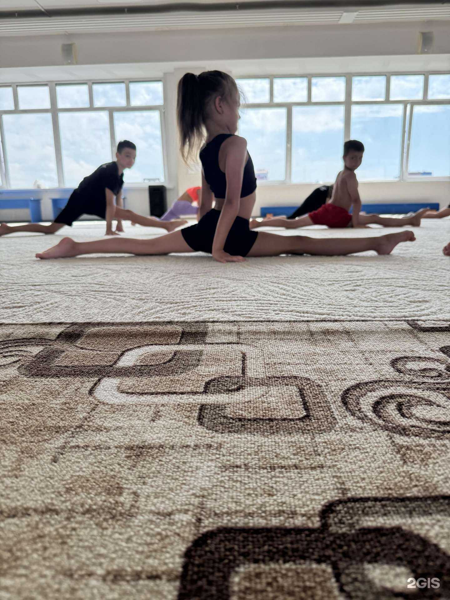 Отзывы на компанию Академия спортивной гимнастики в Барнауле c фото