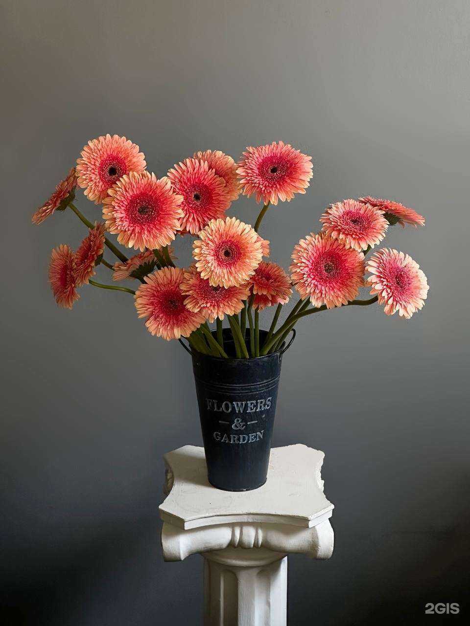 Отзывы на компанию Крапиvа в г. Краснодар c фото