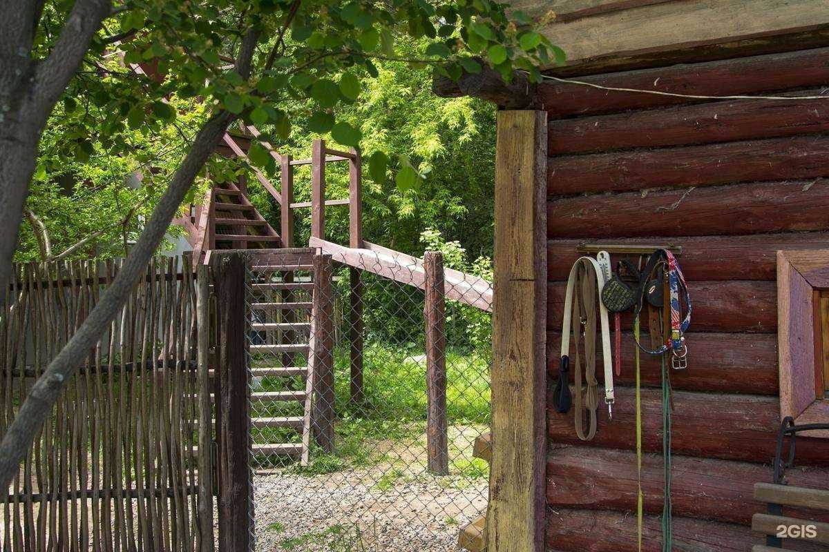 Отзывы на компанию Лапыландия в г. Екатеринбург c фото