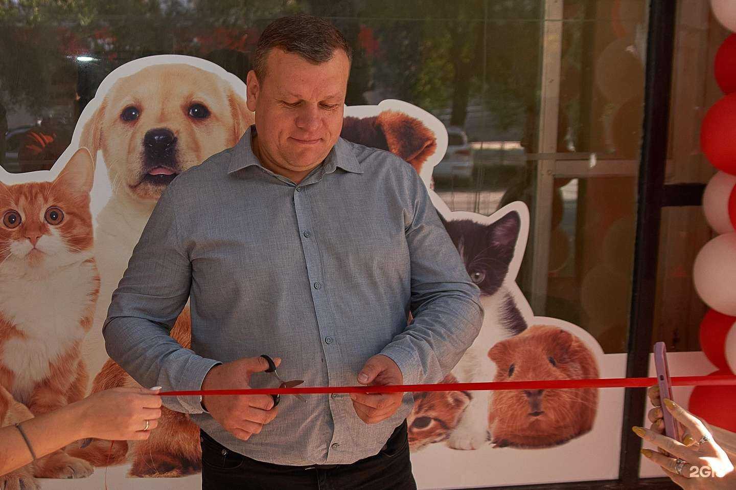 Отзывы на компанию Пульс в Волгограде c фото