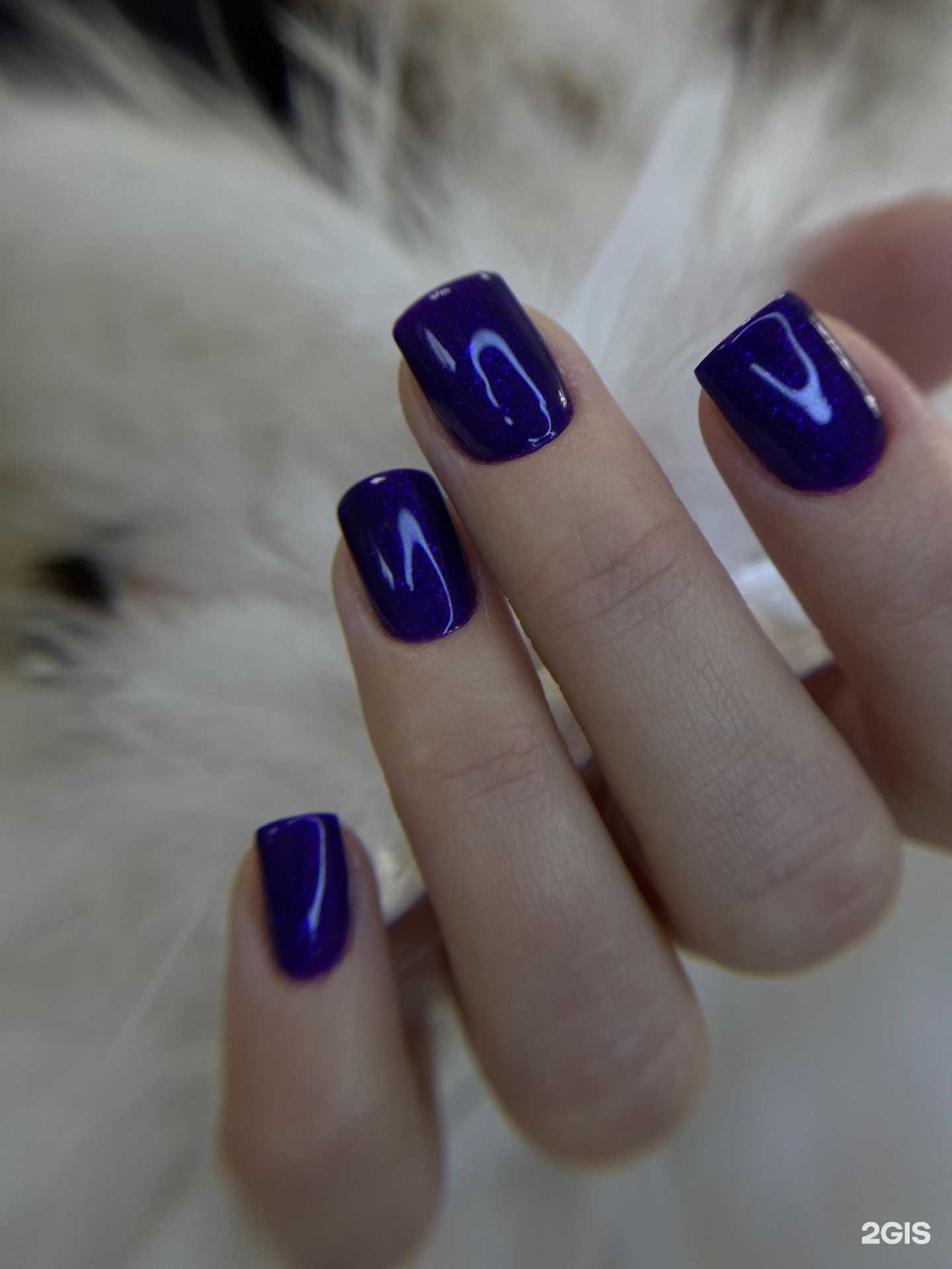 Отзывы на компанию IR в Барнауле c фото