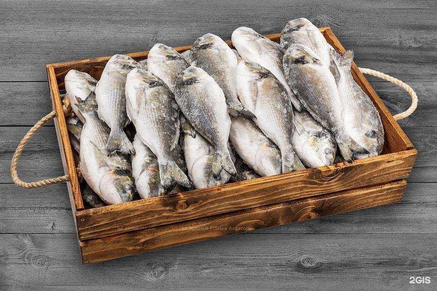 Отзывы на компанию Золотая fishka в г. Самара c фото