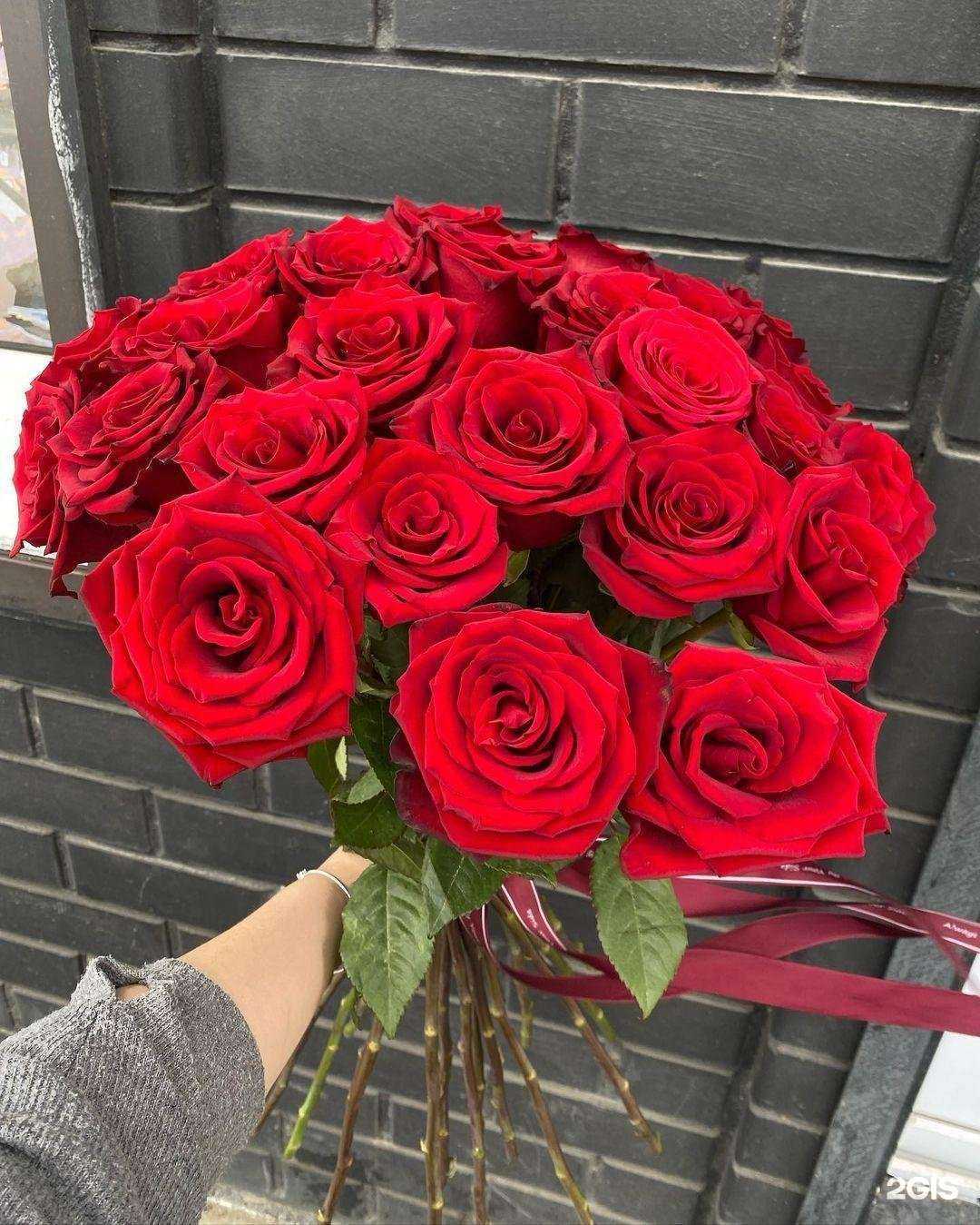 Отзывы на компанию Pion в Махачкале c фото