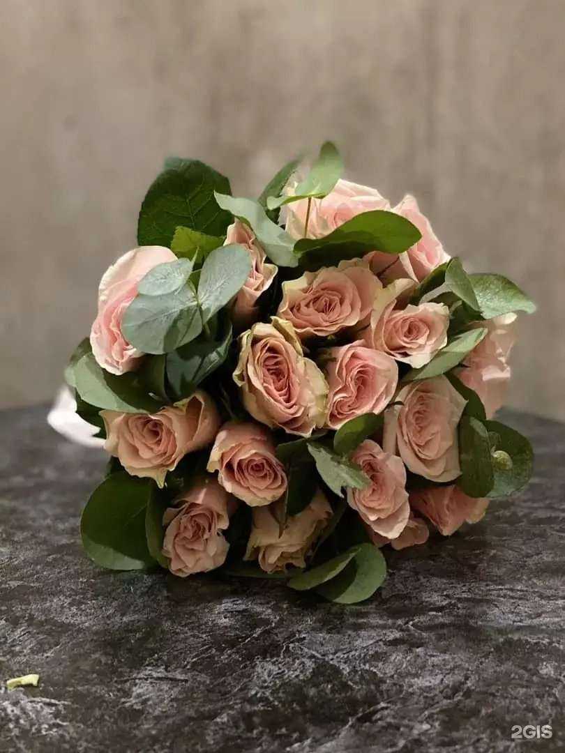 Отзывы на компанию Кактус в Омске c фото