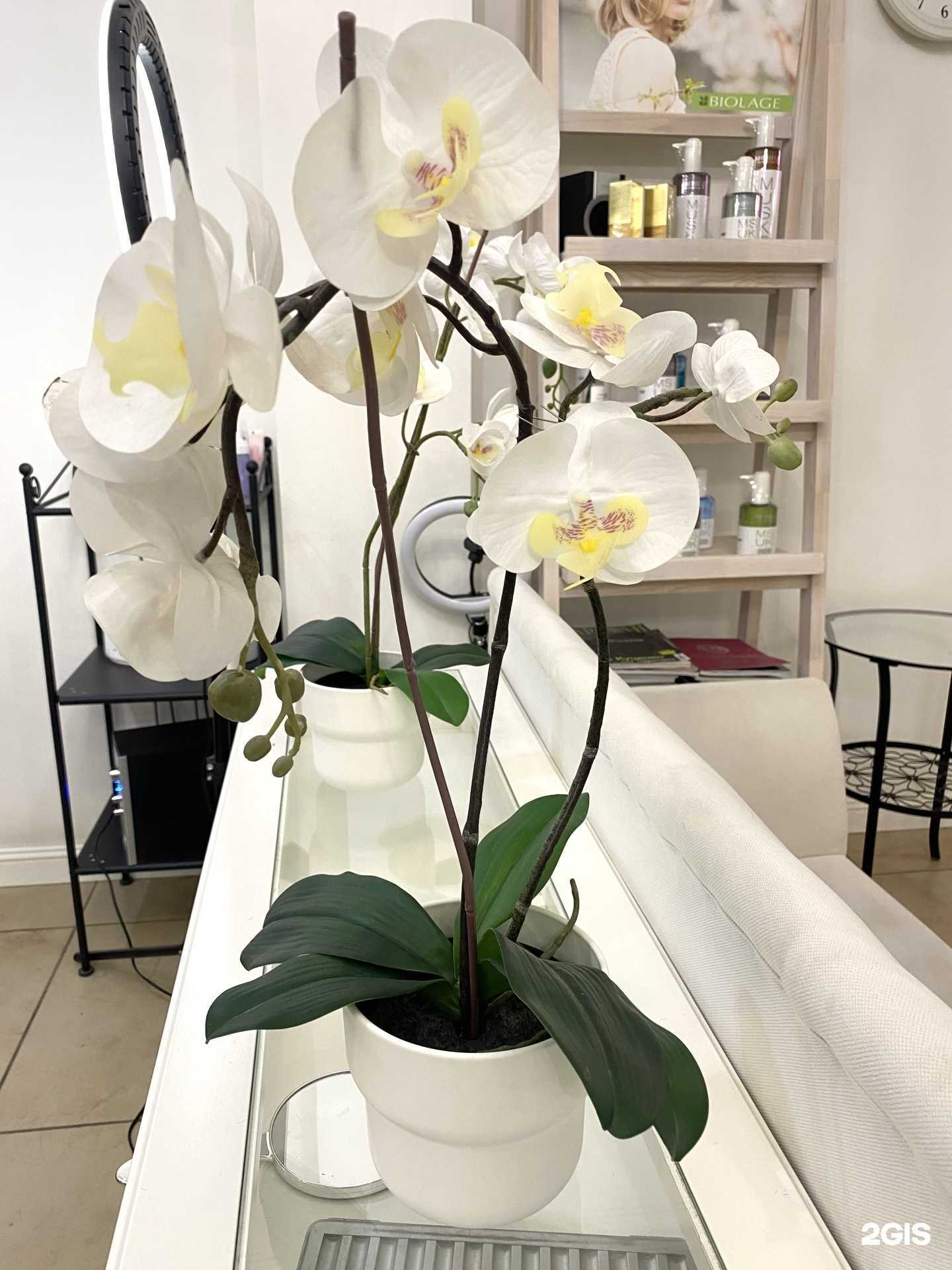 Отзывы на компанию Кабинет косметик-эстетиста Ольги Моисеевой в г. Саратов c фото