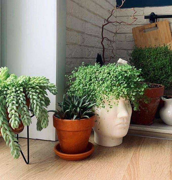 Отзывы на компанию DikaDecor в г. Краснодар c фото