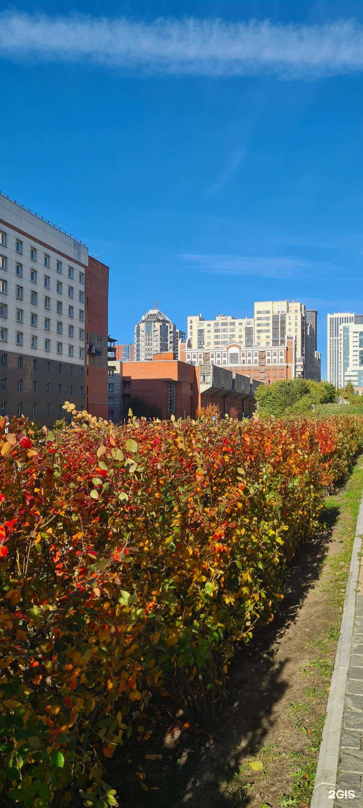 Отзывы на компанию Лойерс Сибирь в Новосибирске c фото - фотография 2 из 2