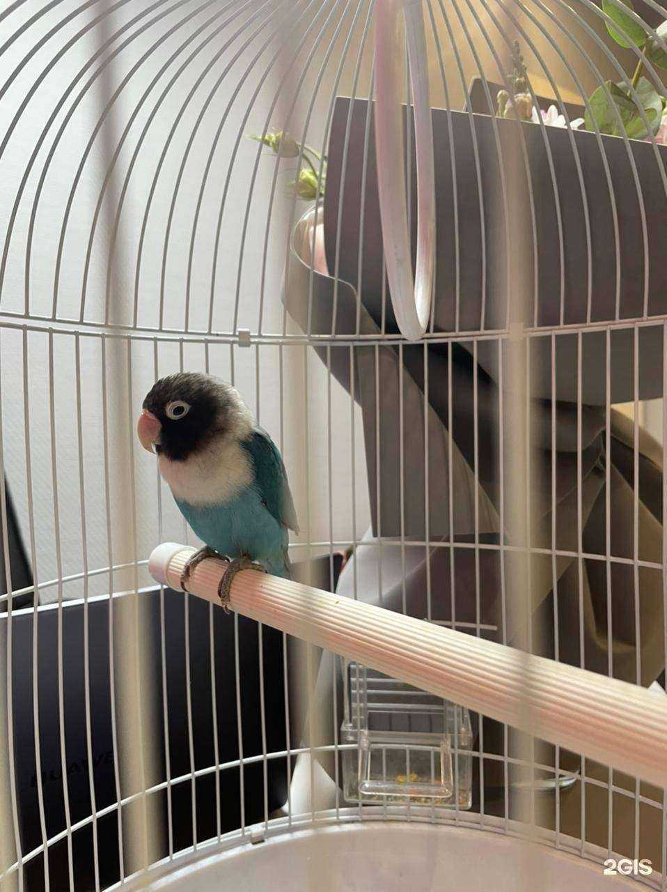 Отзывы на компанию English Academy BM в Ростове-на-Дону c фото