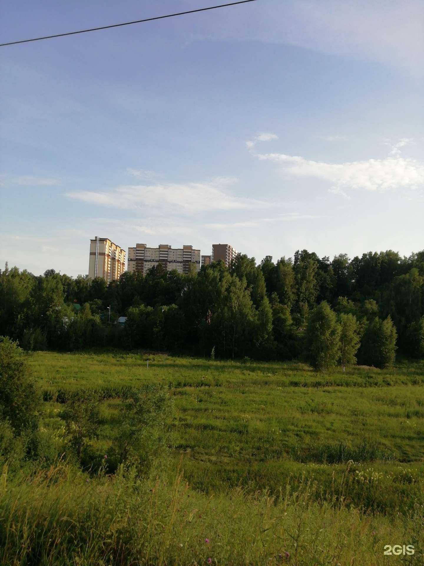 Отзывы на компанию Здрaвсити в Химках c фото