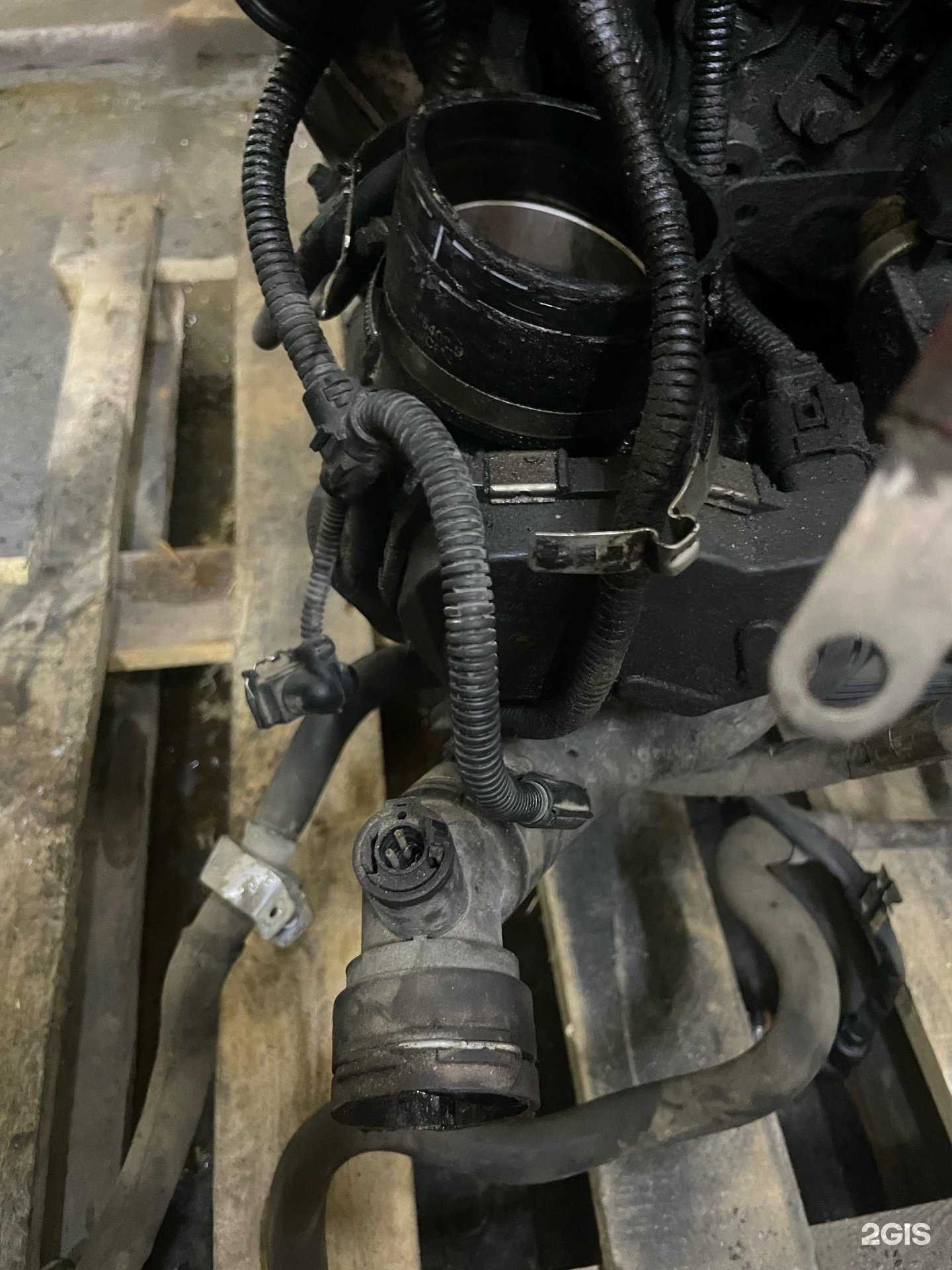 Отзывы на компанию G в г. Тверь c фото