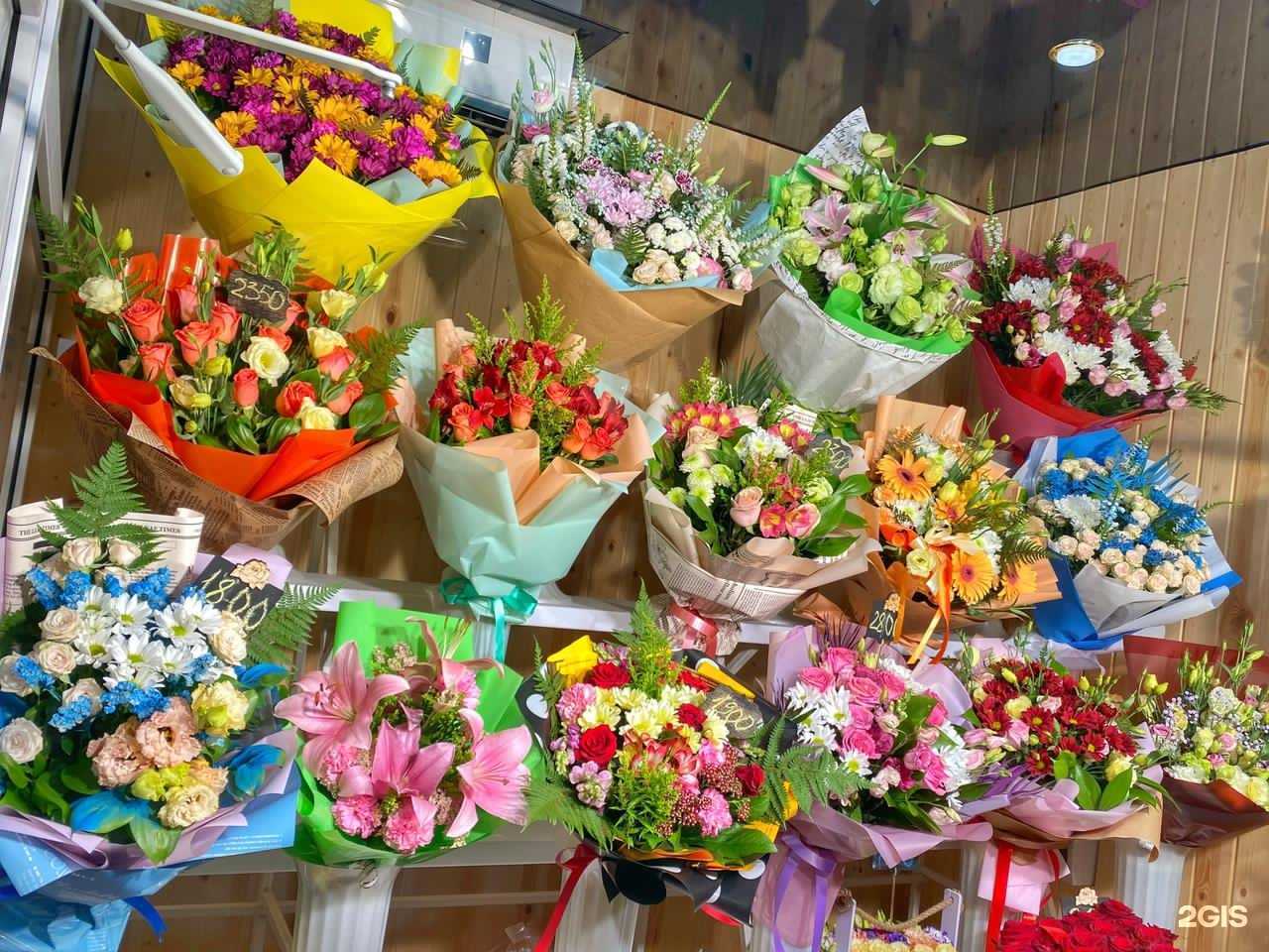 Отзывы на компанию SiLen в г. Анапа c фото