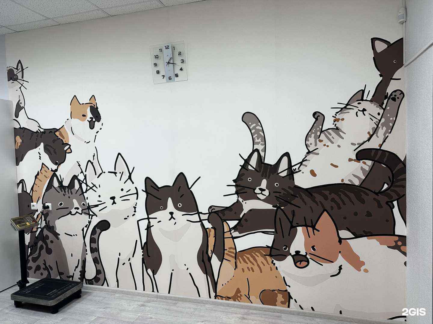 Отзывы на компанию Ласточка в Чебоксарах c фото