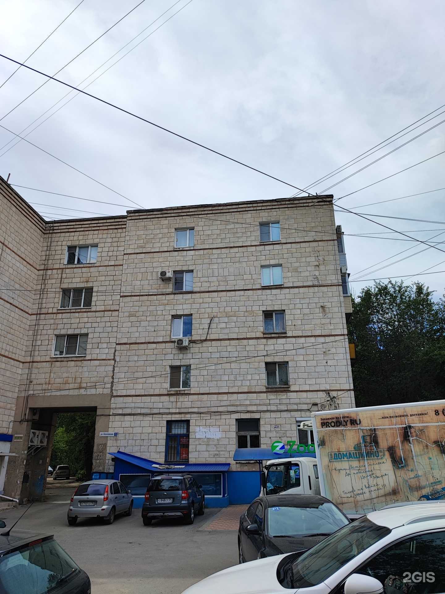 Отзывы на компанию Зооволна.ру в Волгограде c фото - фотография 2 из 2