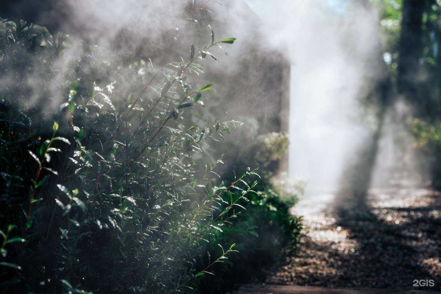 Отзывы на компанию Belsad Shop в Екатеринбурге c фото