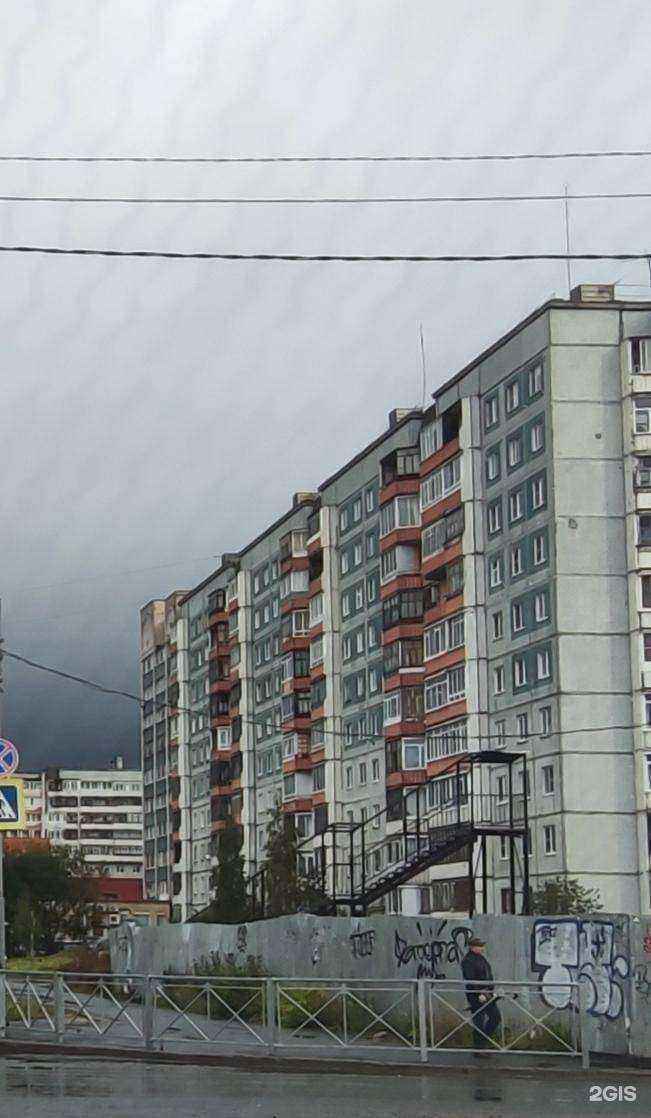 Отзывы на компанию Тави в Архангельске c фото - фотография 2 из 2