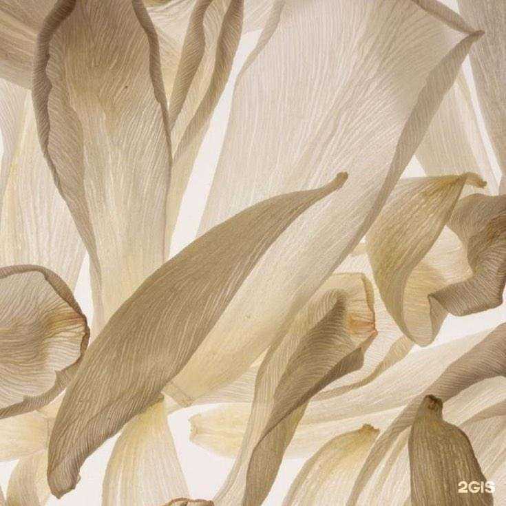 Отзывы на компанию Идеал в Химках c фото