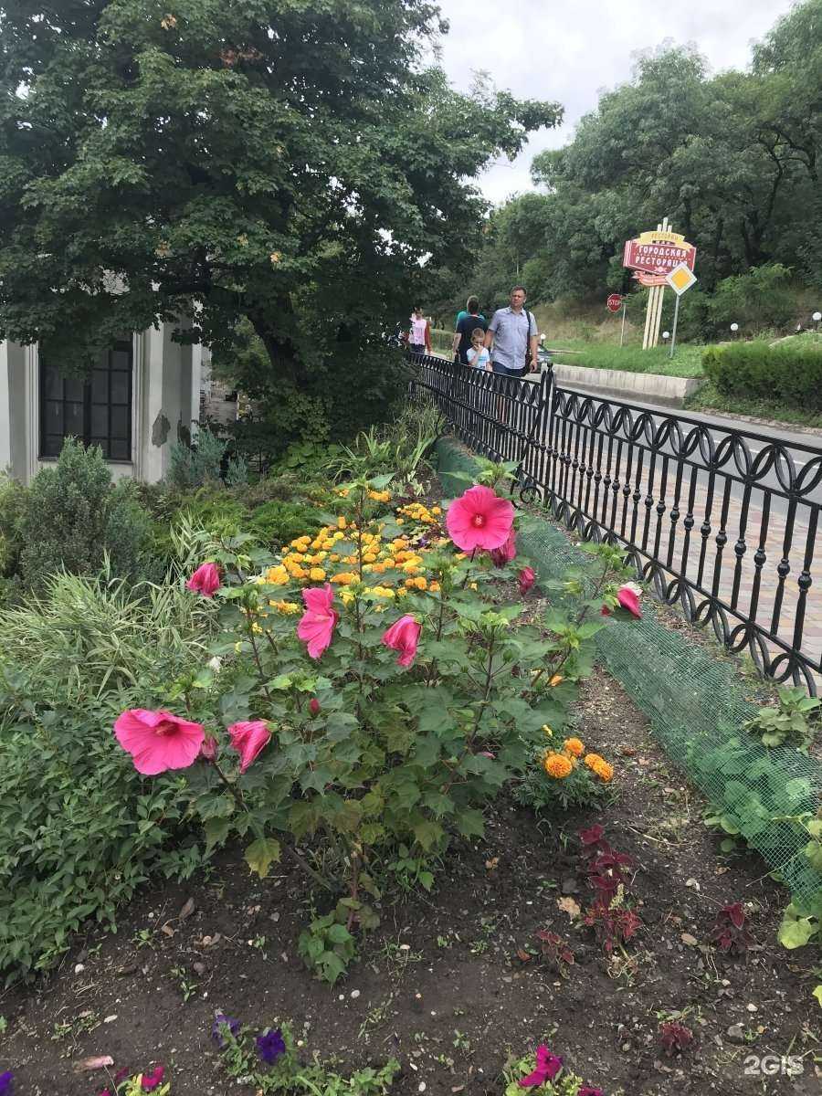 Отзывы на компанию Чача дача в Пятигорске c фото