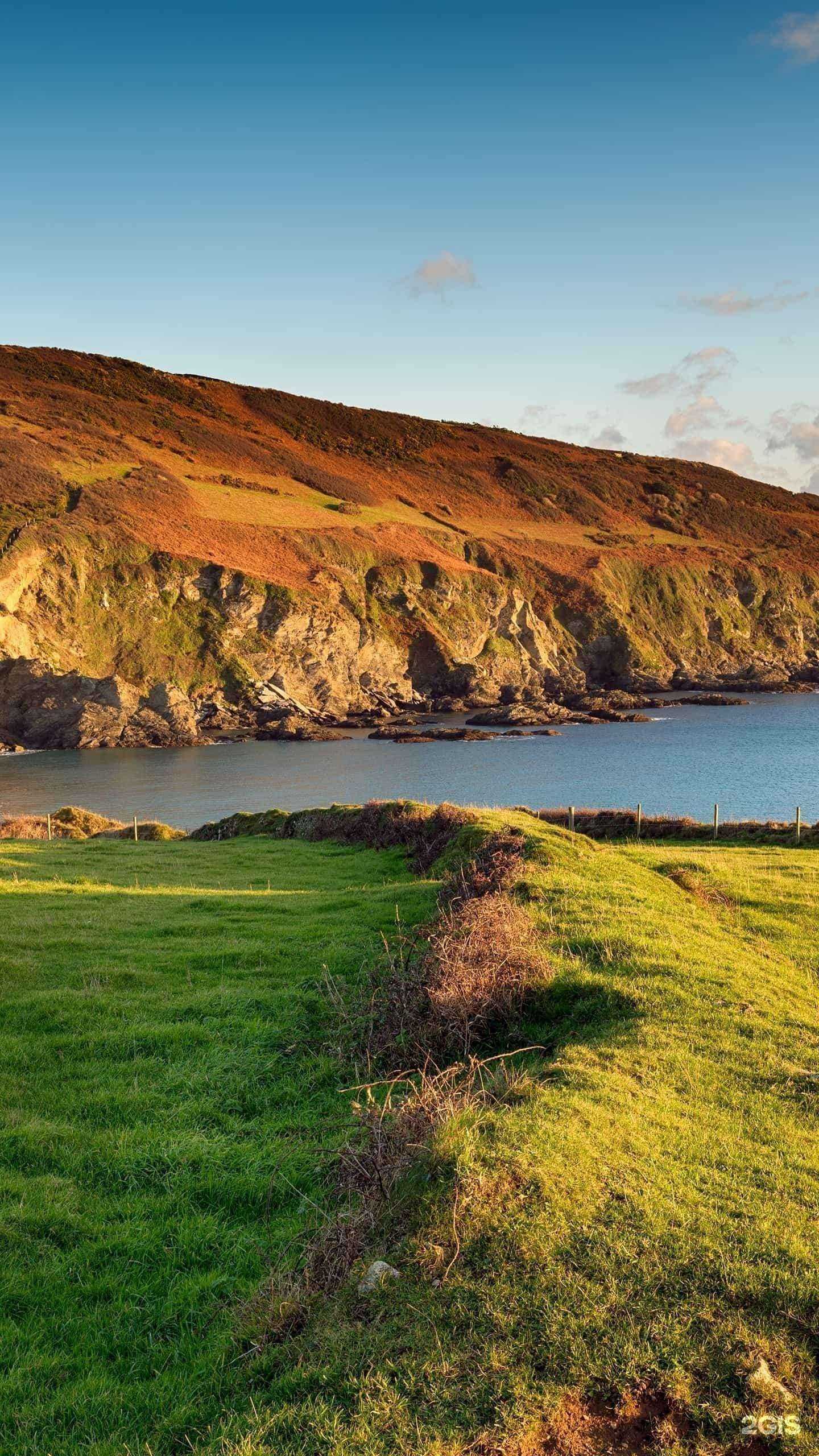 Отзывы на компанию Единый центр помощи в г. Копейск c фото
