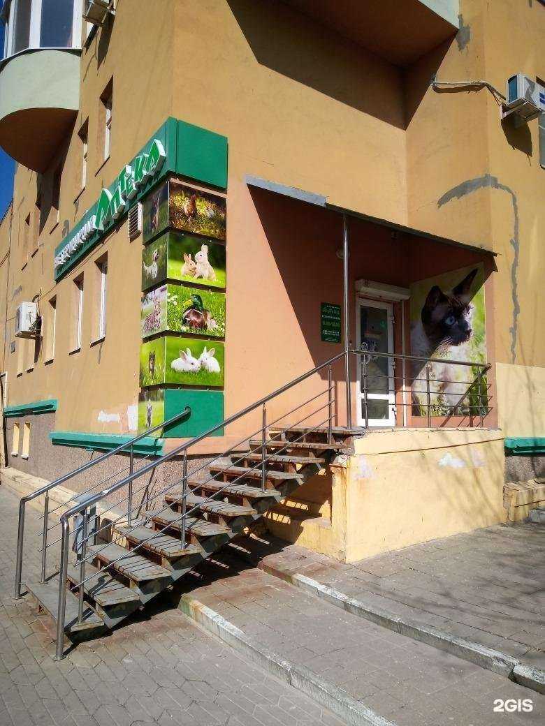 Отзывы на компанию Ветеринарная аптека в г. Белгород c фото