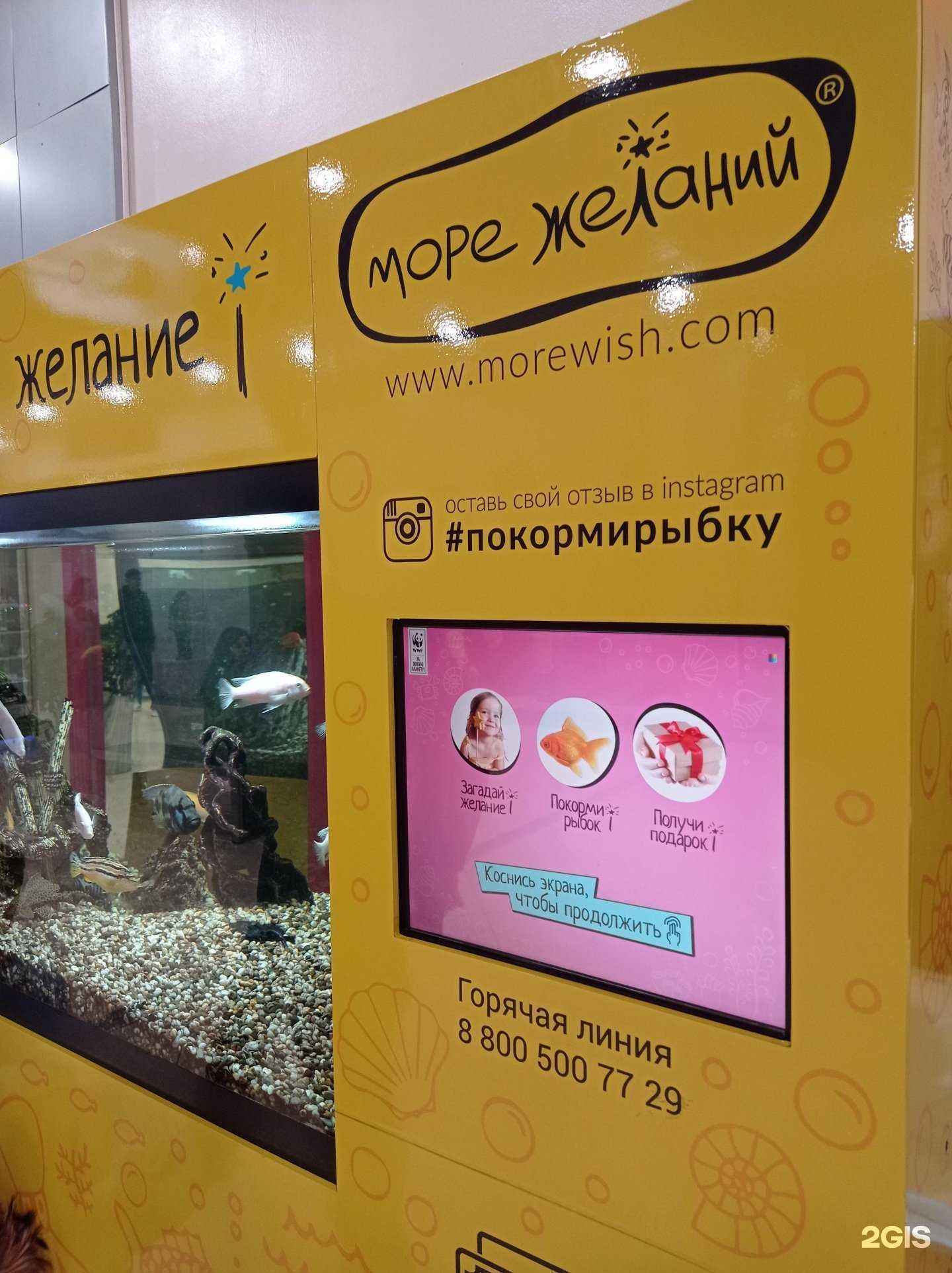 Отзывы на компанию Море желаний в Брянске c фото