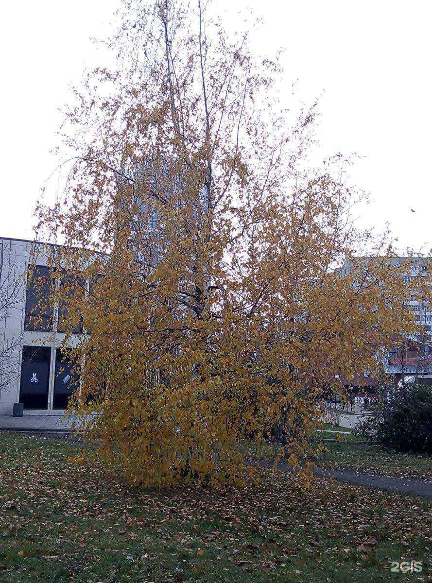 Отзывы на компанию Консалтинг в Иванове c фото