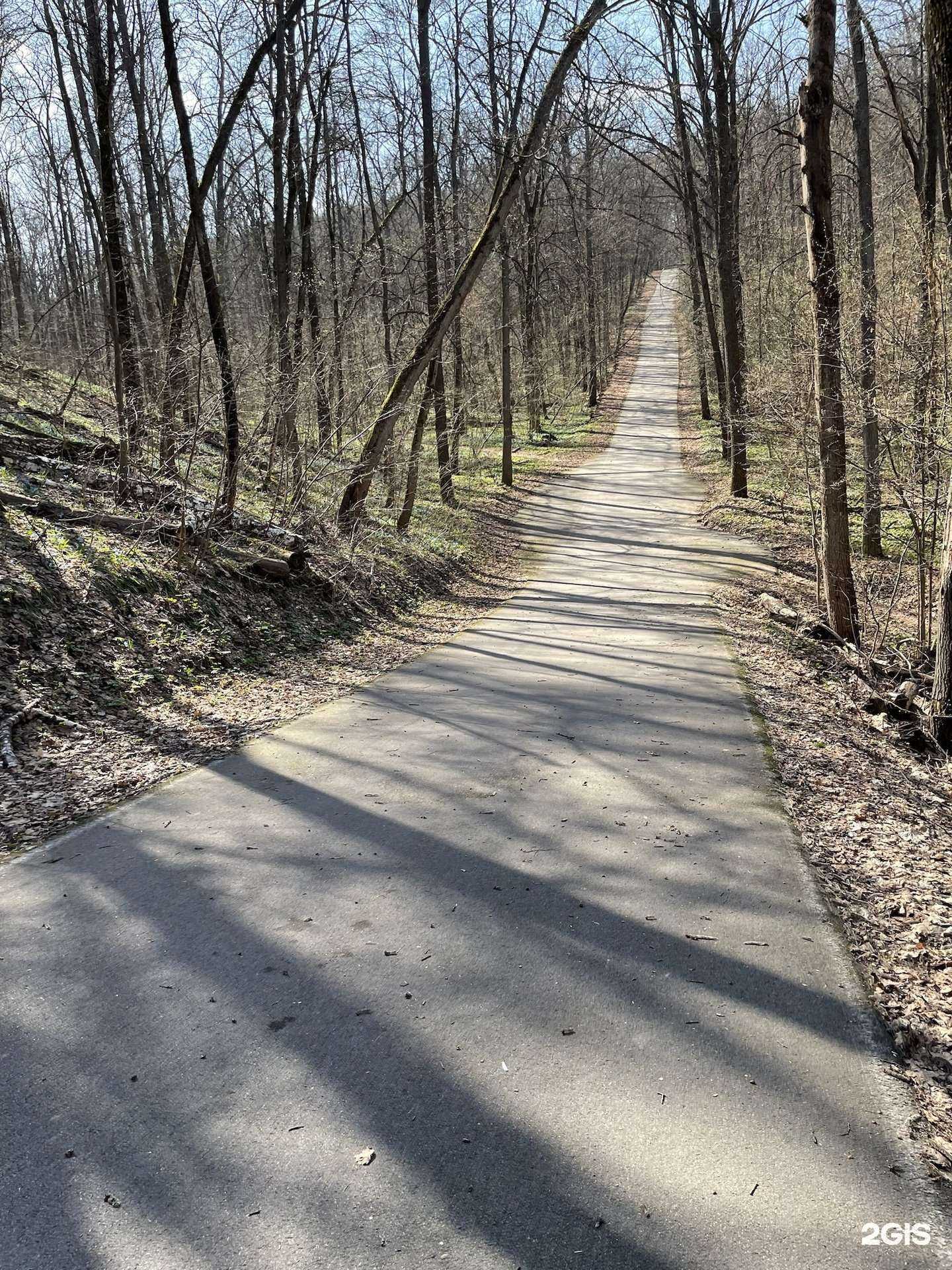 Отзывы на компанию Олимпик в г. Воронеж c фото