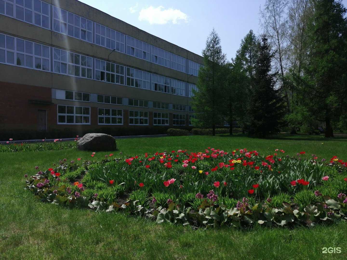 Отзывы на компанию Академия гимнастики в г. Псков c фото