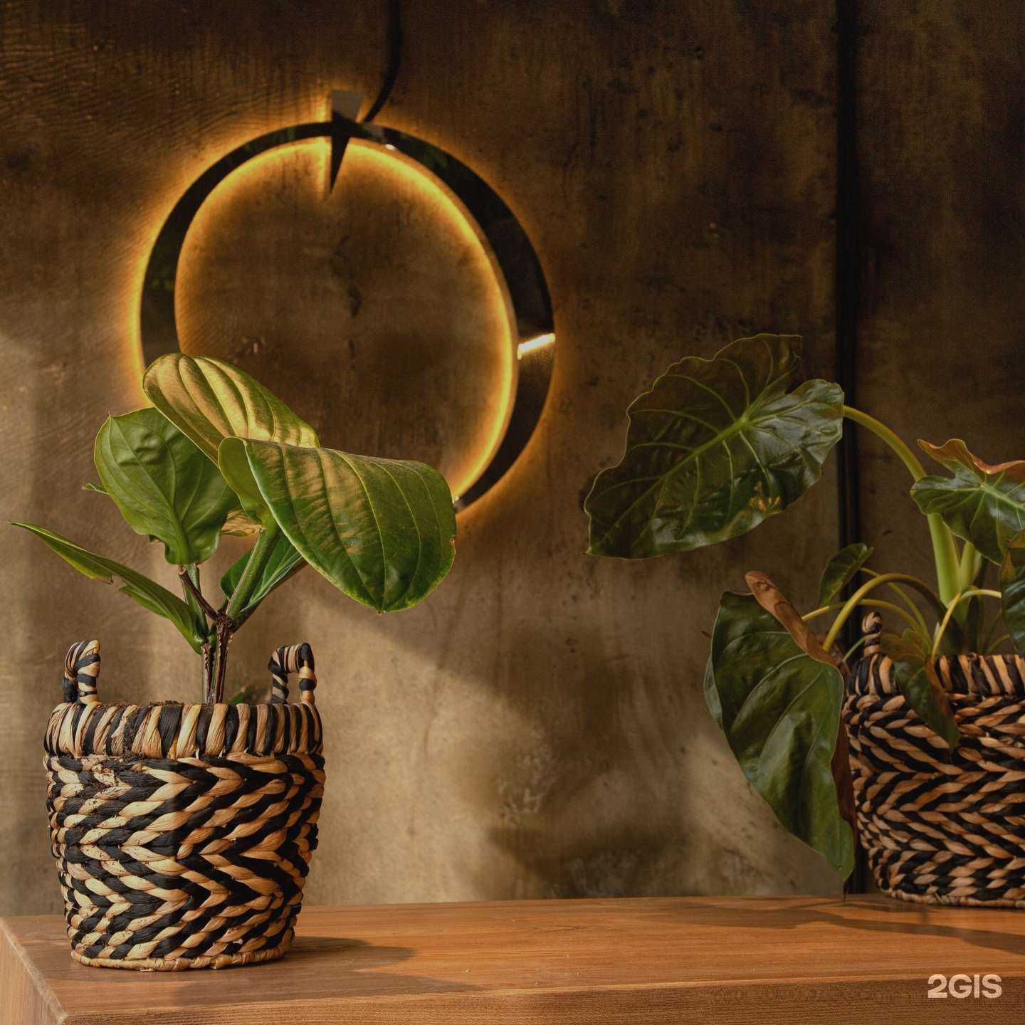 Отзывы на компанию Грейсон в г. Геленджик c фото