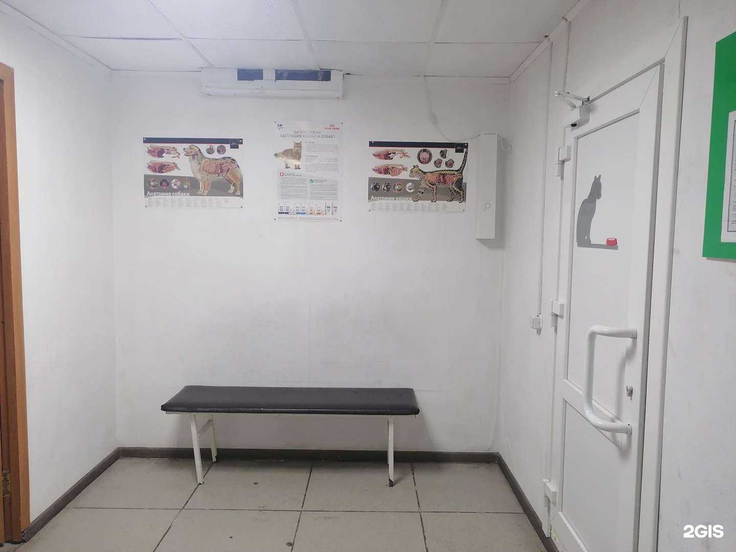 Отзывы на компанию Доктор Вет в Улан-Удэ c фото