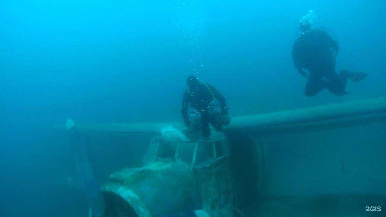 Отзывы на компанию Dive-poisk в Новосибирске c фото