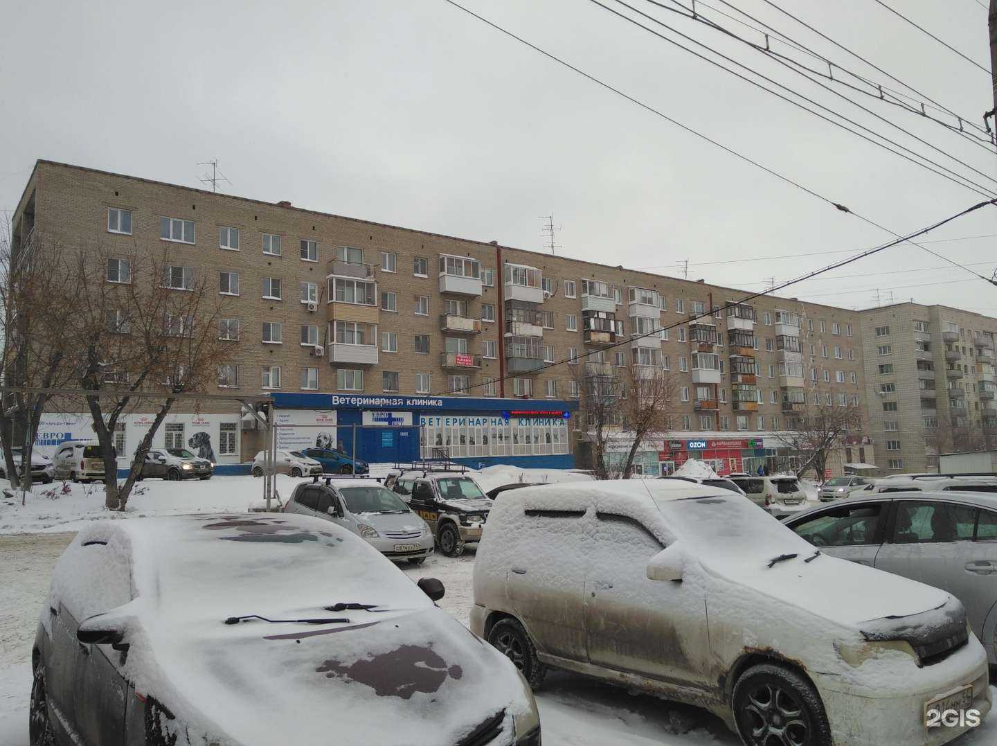 Отзывы на компанию Евровет в Новосибирске c фото - фотография 2 из 2