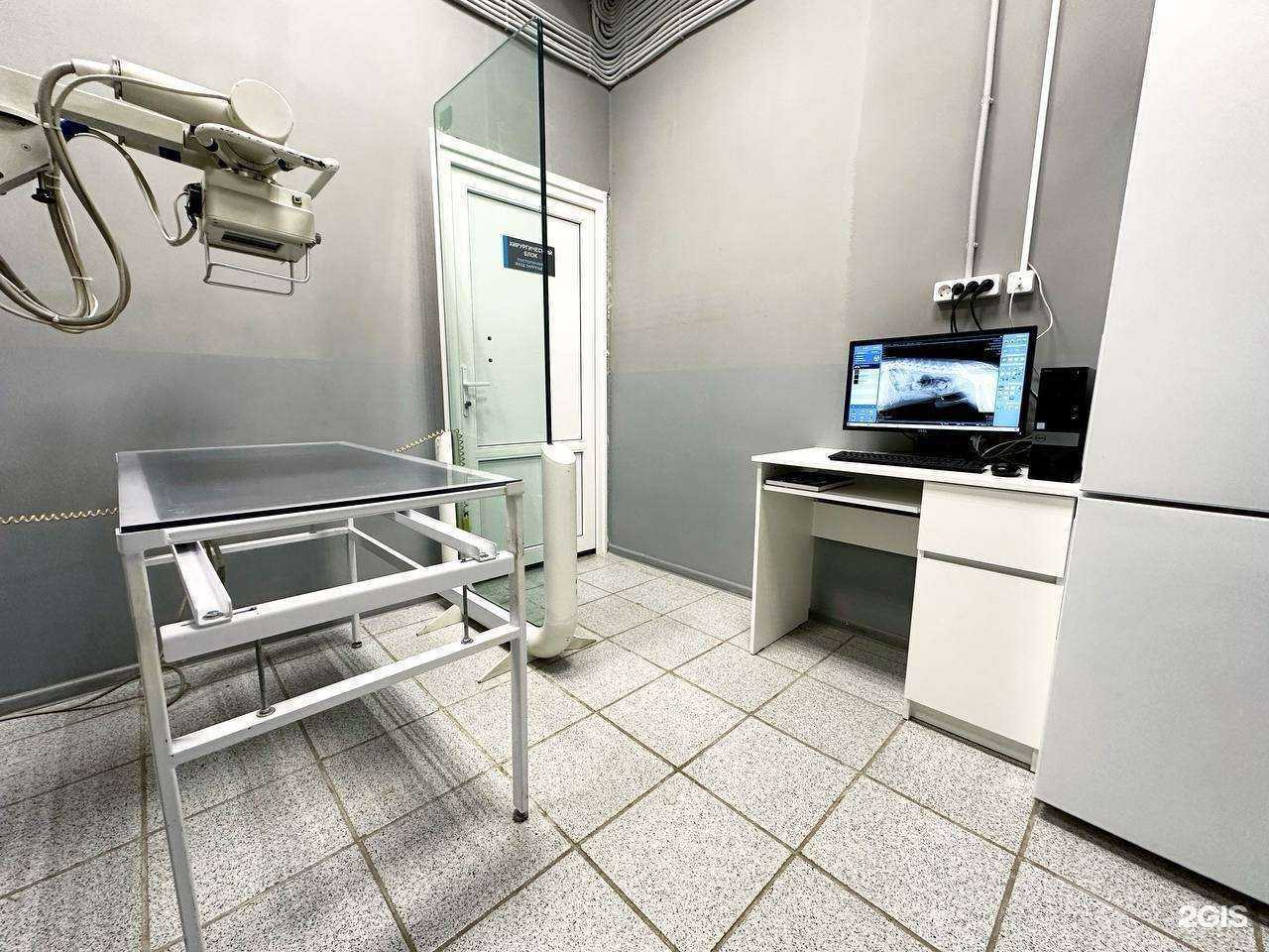 Отзывы на компанию Dr.Айболит в г. Тамбов c фото