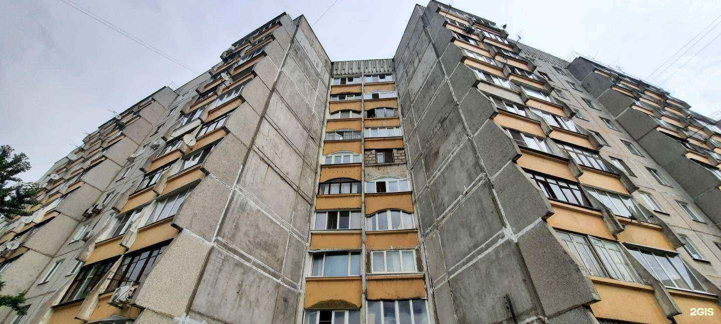 Отзывы на компанию Любимчик в Жуковском c фото