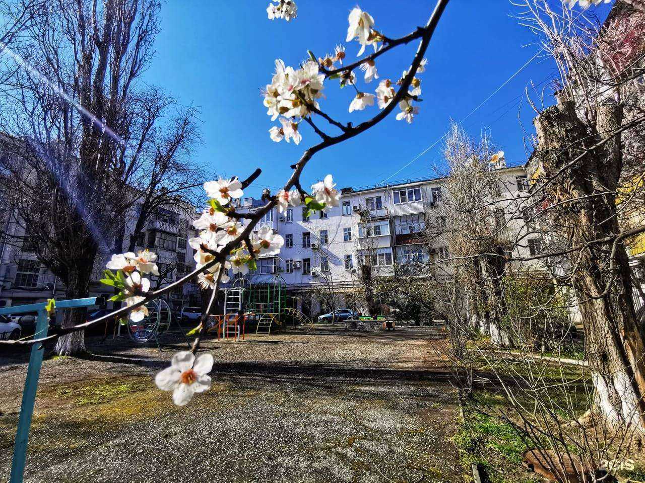 Отзывы на компанию Магазин недвижимости-Юг в Новороссийске c фото