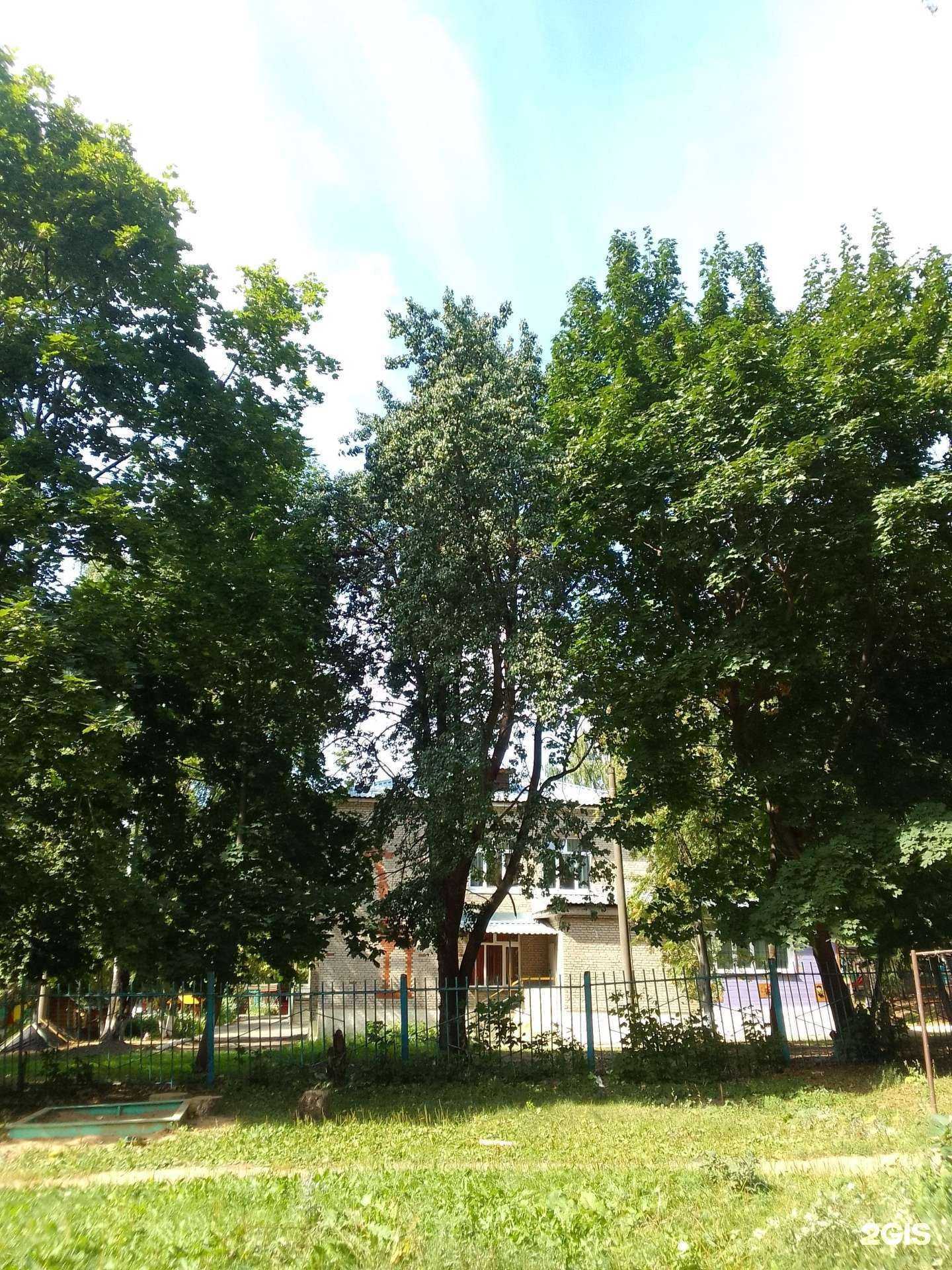 Отзывы на компанию Детский сад №80 в г. Владимир c фото