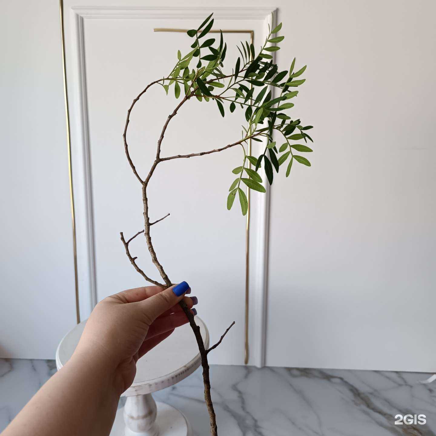 Отзывы на компанию Салон цветов в Омске c фото