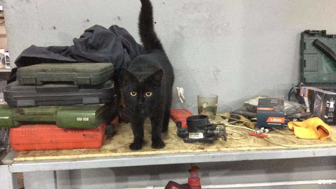 Отзывы на компанию GrandAuto в Волгограде c фото