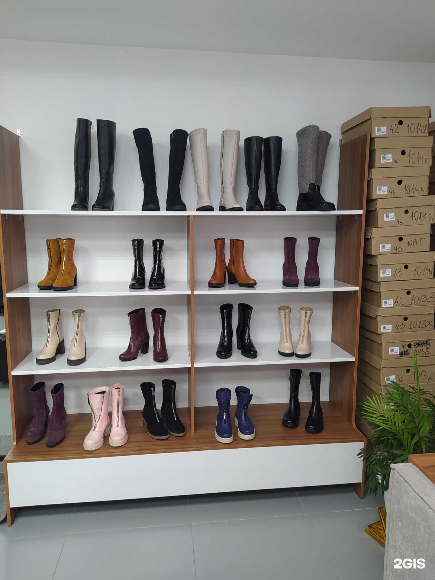 Отзывы на компанию Пьекса в Кирове c фото