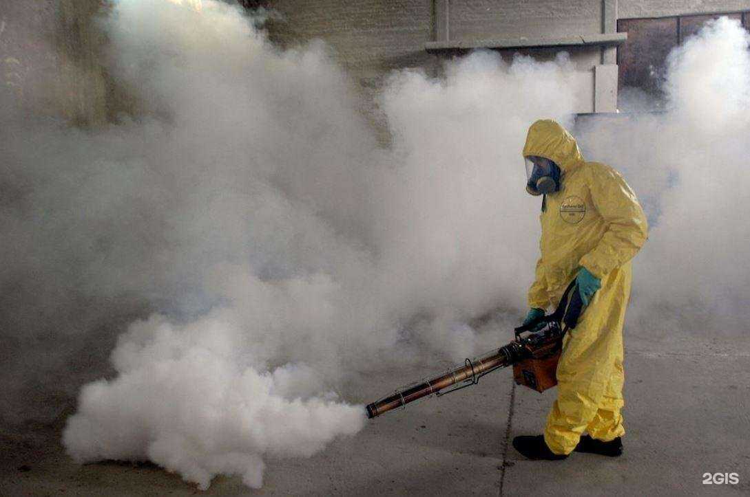 Отзывы на компанию ДезКлин в г. Барнаул c фото