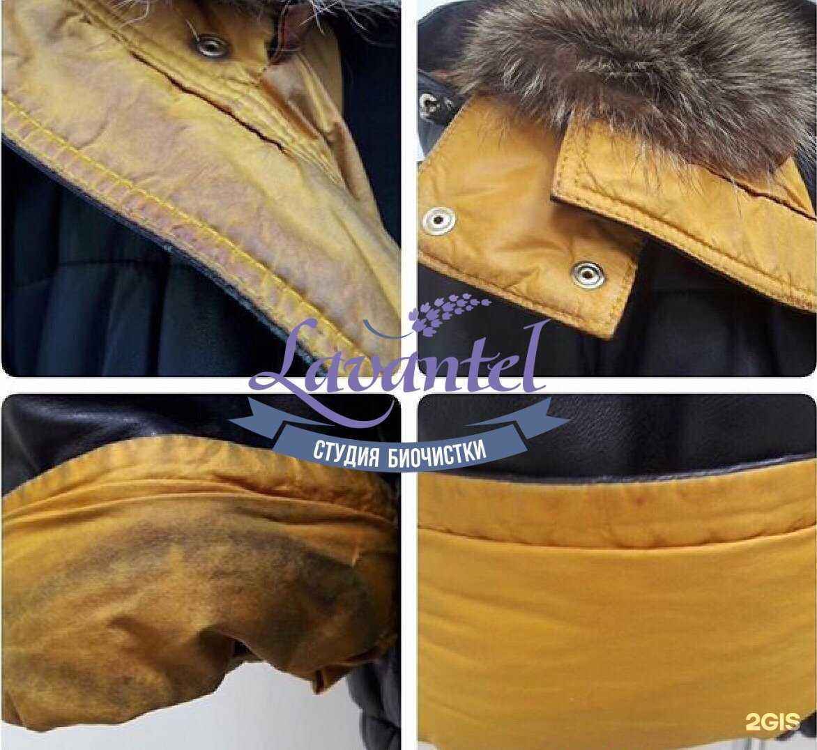 Отзывы на компанию Lavantel в Омске c фото