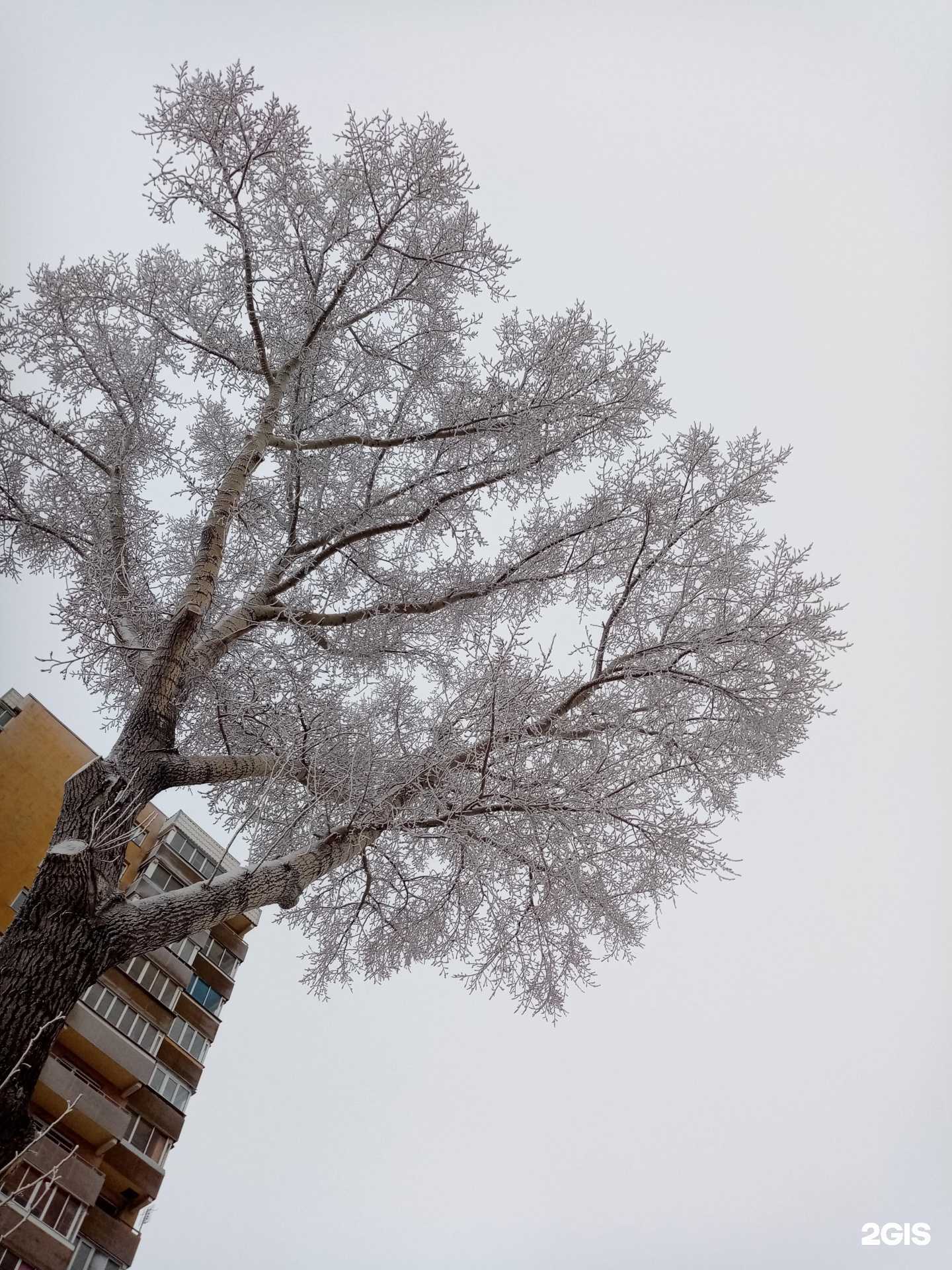 Отзывы на компанию Вива Керамик в Новосибирске c фото - фотография 2 из 2