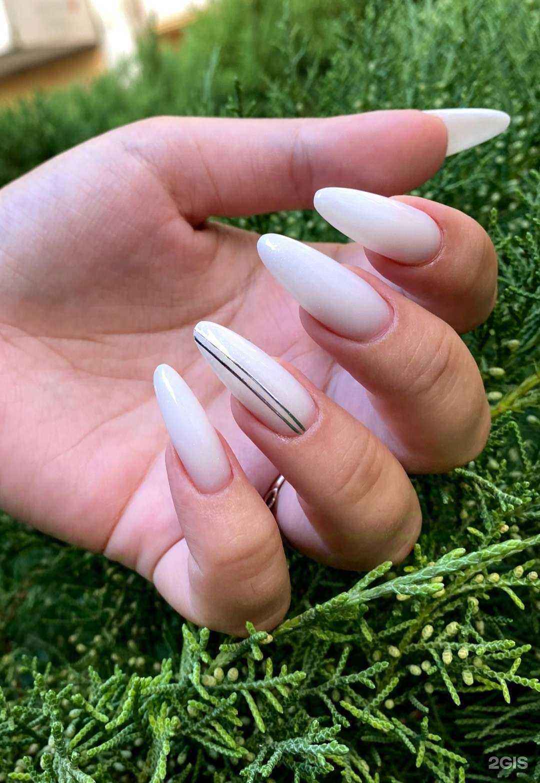 Отзывы на компанию 212 Vip в Краснодаре c фото